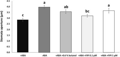 Phosphatidic acid produced by phospholipase Dα1 and Dδ is incorporated into the internal membranes but not involved in the gene expression of RD29A in the abscisic acid signaling network in Arabidopsis thaliana